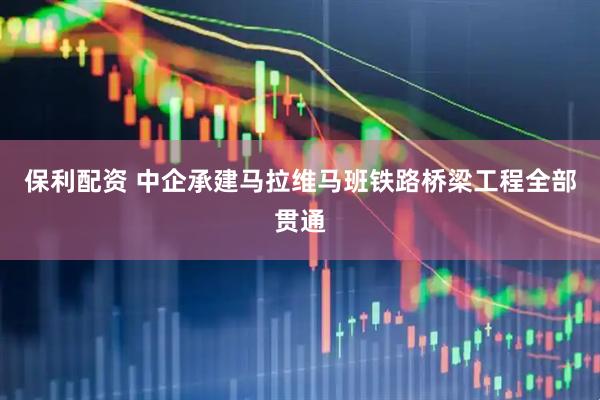 保利配资 中企承建马拉维马班铁路桥梁工程全部贯通