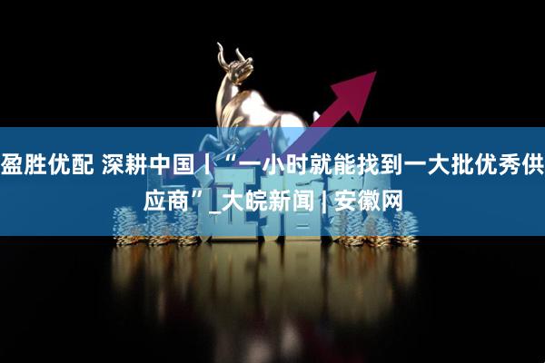 盈胜优配 深耕中国丨“一小时就能找到一大批优秀供应商”_大皖新闻 | 安徽网