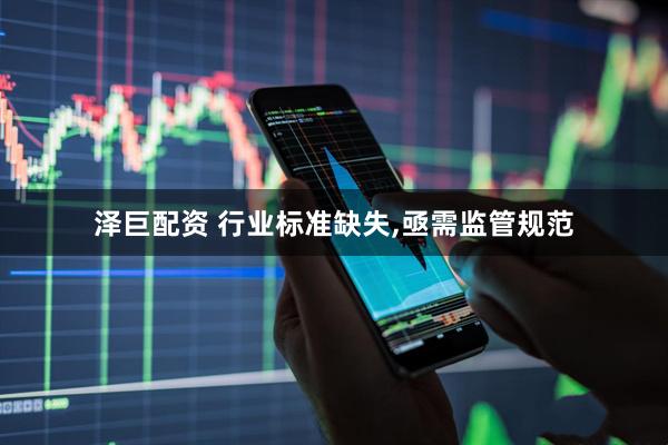 泽巨配资 行业标准缺失,亟需监管规范