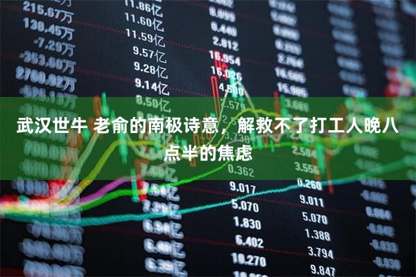 武汉世牛 老俞的南极诗意，解救不了打工人晚八点半的焦虑