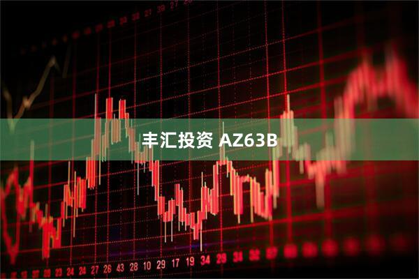 丰汇投资 AZ63B